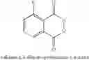 Fig. 49 - Pharmaceutical compounds as activators of caspases and inducers of apoptosis and the use thereof