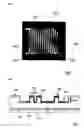 Fig. 05 - Electrophoretic Chip, Electrophoretic Device and Electrophoresis Method