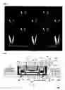 Fig. 07 - Electrophoretic Chip, Electrophoretic Device and Electrophoresis Method