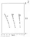 Fig. 02 - Anode for oxygen evolution