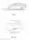 Fig. 05 - Optical mouse having a light-sheltering device