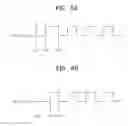Fig. 06 - Method and system for testing semiconductor memory device using internal clock signal of semiconductor memory device as data strobe signal