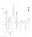 Fig. 22 - Dual data-dependent busses for coupling read/write circuits to a memory array