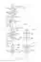 Fig. 42 - SCANNING BY REMOTES IN MULTIPOINT-TO-POINT COMMUNICATION USING ORTHOGONAL FREQUENCY DIVISION MULTIPLEXING