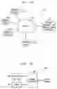 Fig. 02 - Determination of endpoint device location for efficient analysis of network performance