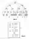 Fig. 06 - System, method and computer program for transferring information on network