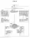 Fig. 49 - Communication apparatus, network apparatus, communication system, communication method, and recording medium