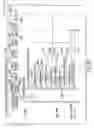Fig. 101 - Voice over data telecommunications network architecture