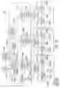 Fig. 55 - Voice over data telecommunications network architecture