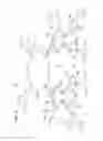 Fig. 07 - Communication network apparatus and method