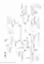 Fig. 12 - Communication network apparatus and method