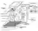 Fig. 01 - Methods, systems, and computer-program products to estimate scattered radiation in cone-beam computerized tomographic images and the like