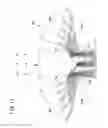 Fig. 10 - Motion detection imaging device