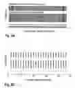 Fig. 04 - Method and system for robust classification strategy for cancer detection from mass spectrometry data