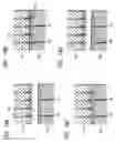 Fig. 14 - Rolling element accommodating belt for linear guide apparatus, linear guide apparatus and metallic mold for manufacturing rolling element accommodating belt
