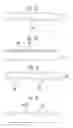 Fig. 08 - Light guide member and backlight unit including light guide member and methods of fabricating light guide members and backlight units