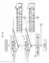 Fig. 55 - Reproduction device, program, and reproduction method