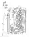 Fig. 02 - Image forming apparatus and developing agent cartridge