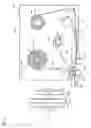 Fig. 25 - Tag-label producing apparatus