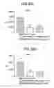 Fig. 12 - Method of treatment comprising administration of a cytokine antagonist molecule