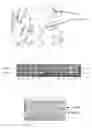 Fig. 02 - Use of gingival fibroblasts for vascular cell therapy