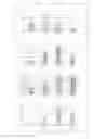 Fig. 09 - Use of gingival fibroblasts for vascular cell therapy