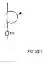 Fig. 07 - Uses of Sperm Membrane Protein Obf