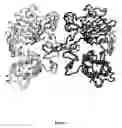 Fig. 04 - Methods of screening based on the EGF receptor crystal structure