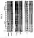 Fig. 04 - Methods of Treating Tnf-Mediated Disorders