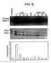 Fig. 07 - Methods of Treating Tnf-Mediated Disorders