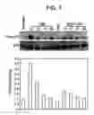 Fig. 08 - Methods of Treating Tnf-Mediated Disorders