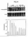 Fig. 09 - Methods of Treating Tnf-Mediated Disorders