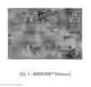 Fig. 01 - Biological fixative and method of using the biological fixative