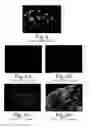 Fig. 07 - Biological fixative and method of using the biological fixative