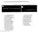 Fig. 02 - Assay for detecting and identifying micro-organisms