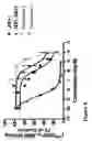 Fig. 06 - Potentiation of MC4 receptor activity