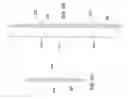Fig. 08 - FOAM BACKED FIBER CEMENT