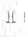 Fig. 03 - Backflow preventer valve
