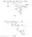 Fig. 07 - Process and Device to Manufacture Cellulose Pulp