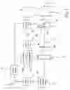 Fig. 02 - Process for operating a vehicle power train during an activated engine start/stop function