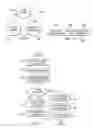 Fig. 04 - Document destruction management