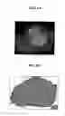 Fig. 08 - Fluorescence polarization imaging devices and methods