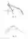 Fig. 18 - Analytical method and apparatus