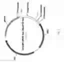 Fig. 08 - Interferon-alpha polypeptides and conjugates