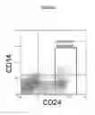 Fig. 06 - Method for the discrimination and isolation of mammary epithelial stem and colony-forming cells