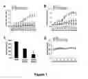 Fig. 02 - Method of treating inflammatory diseases using tyroskine kinase inhibitors