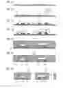 Fig. 02 - Method for producing a component and device having a component