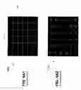Fig. 09 - Multi-segment displays