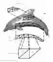 Fig. 01 - System and method for lightweight polygonal topology representation
