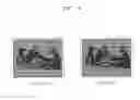 Fig. 08 - High resolution autostereoscopic display apparatus with interlaced image